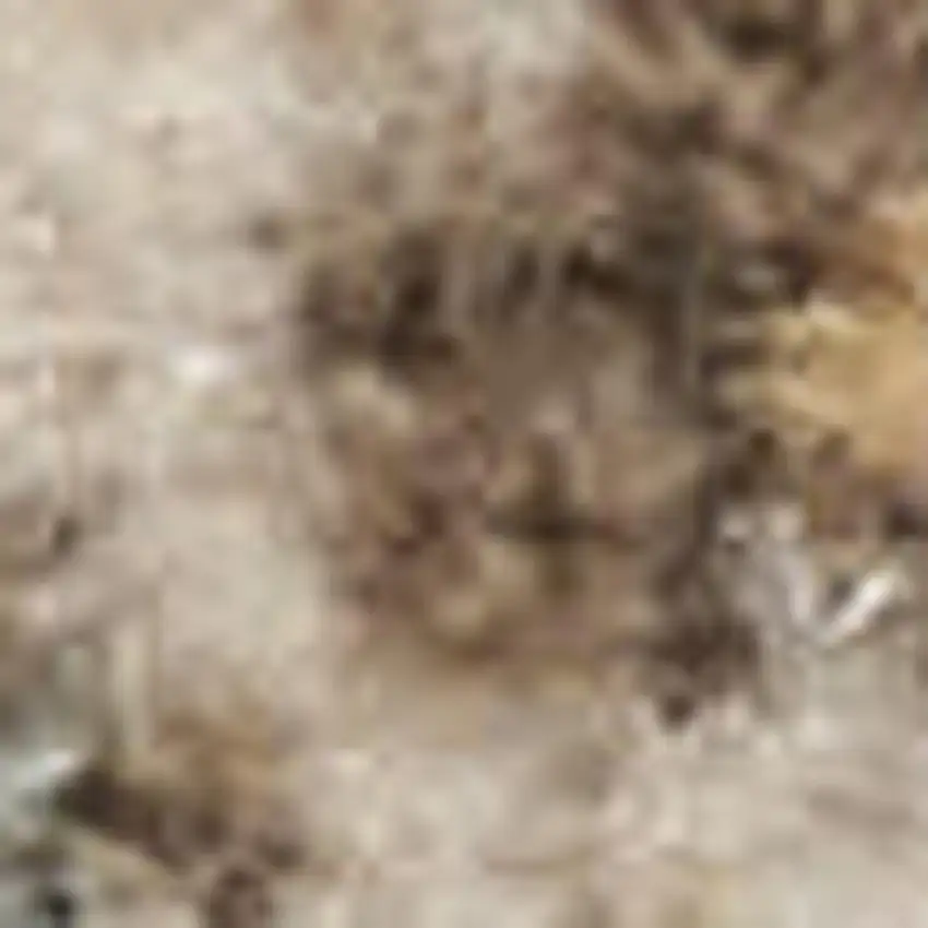 Gray Oriental Distressed Area Rug Photo 3