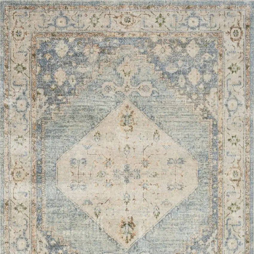 Gray Oriental Distressed Area Rug Photo 6