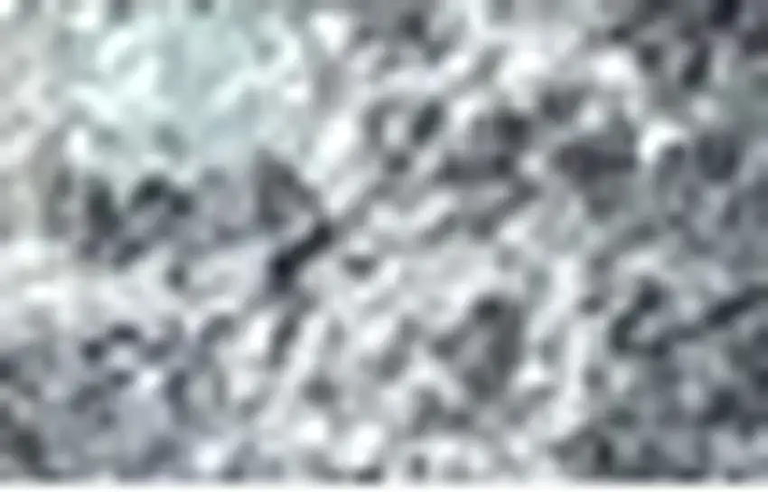 Gray Oriental Washable Area Rug With UV Protection Photo 4