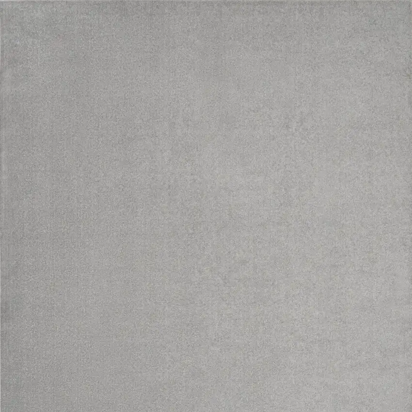 Gray Power Loom Area Rug Photo 5
