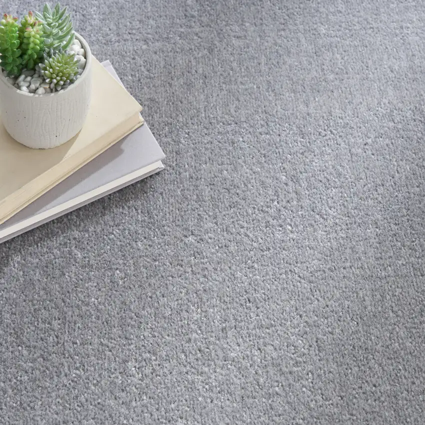 Gray Indoor Outdoor Area Rug Photo 3