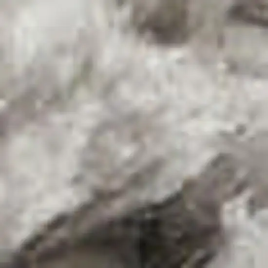 Gray Shag Area Rug Photo 5