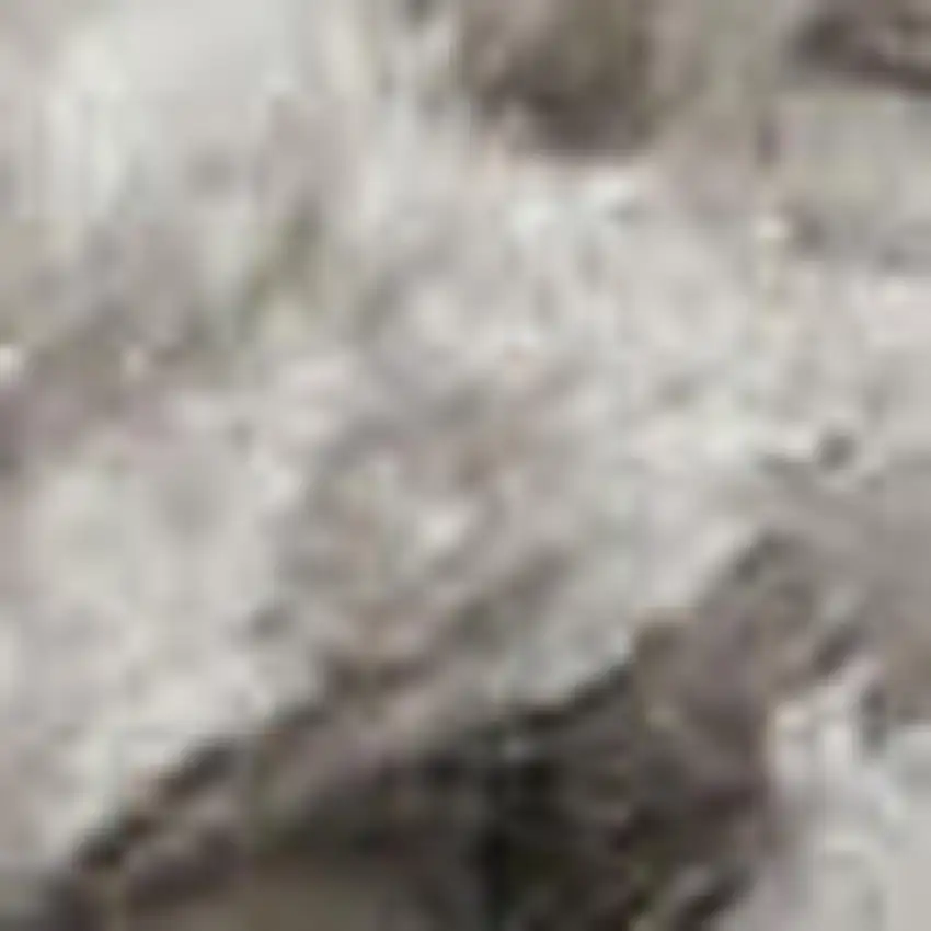 Gray Shag Area Rug Photo 5