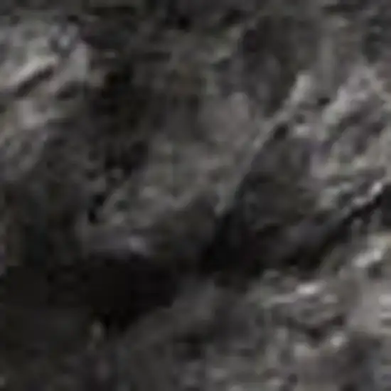 Gray Shag Area Rug Photo 4