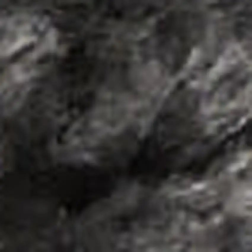 Gray Shag Area Rug Photo 4