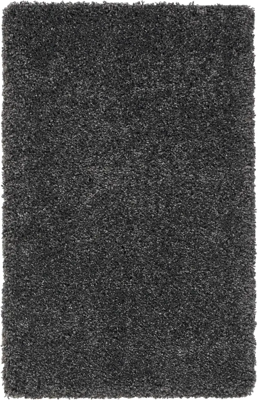Gray Shag Area Rug Photo 4