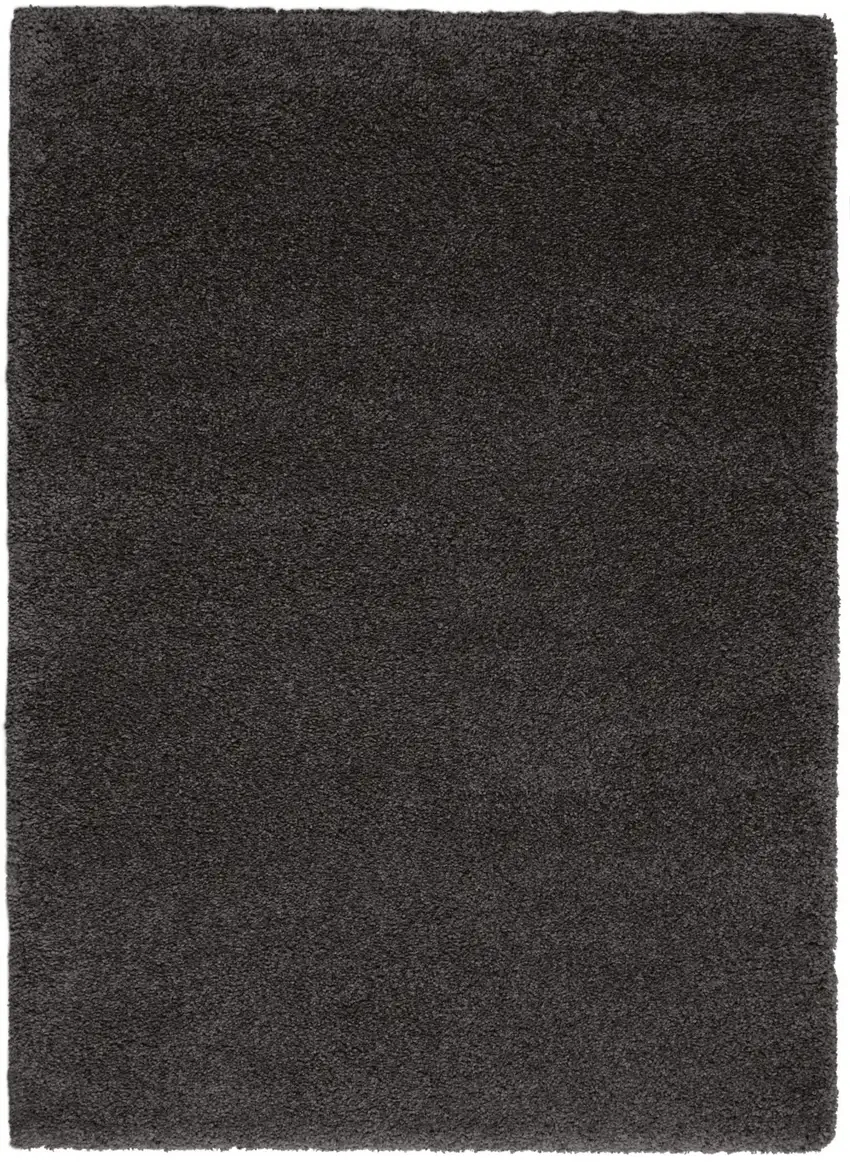 Gray Shag Area Rug Photo 2
