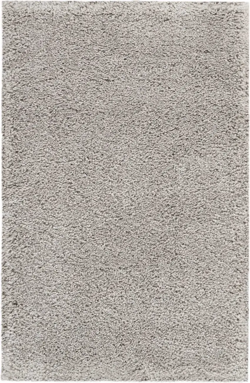 Gray Shag Distressed Area Rug Photo 9