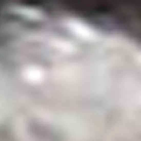 Gray Shag Distressed Area Rug Photo 3