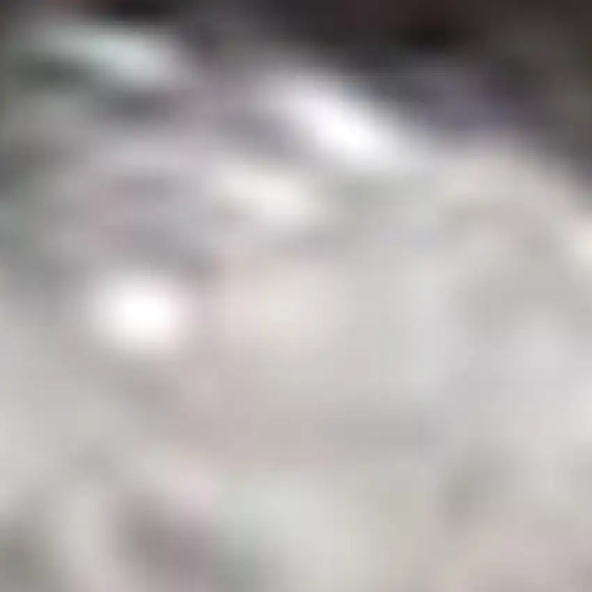 Gray Shag Distressed Area Rug Photo 3