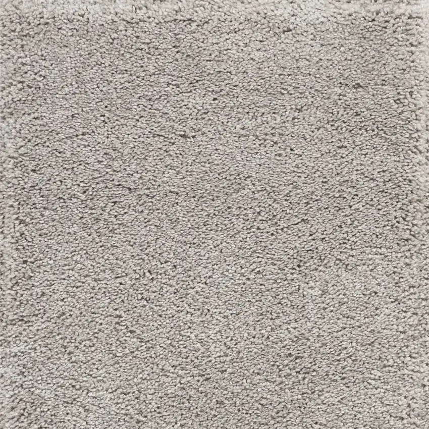 Gray Shag Distressed Area Rug Photo 5