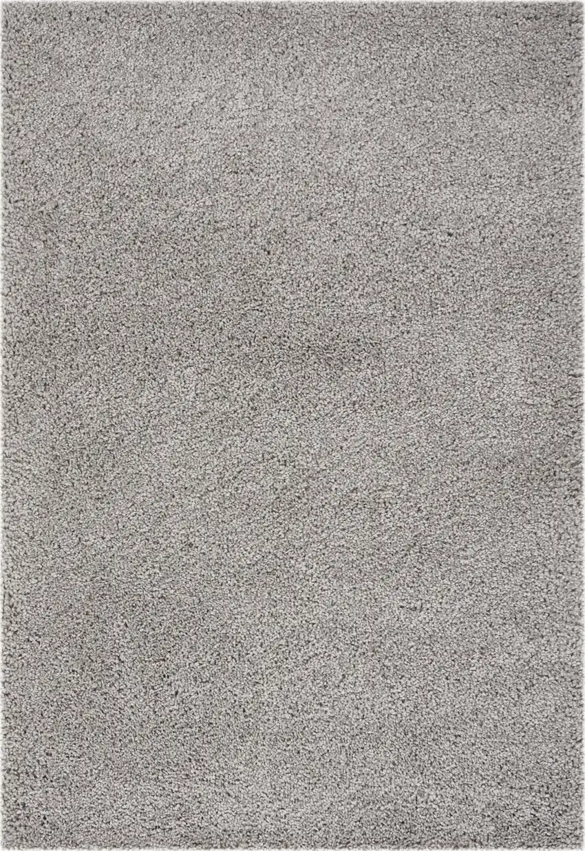 Gray Shag Distressed Area Rug Photo 4