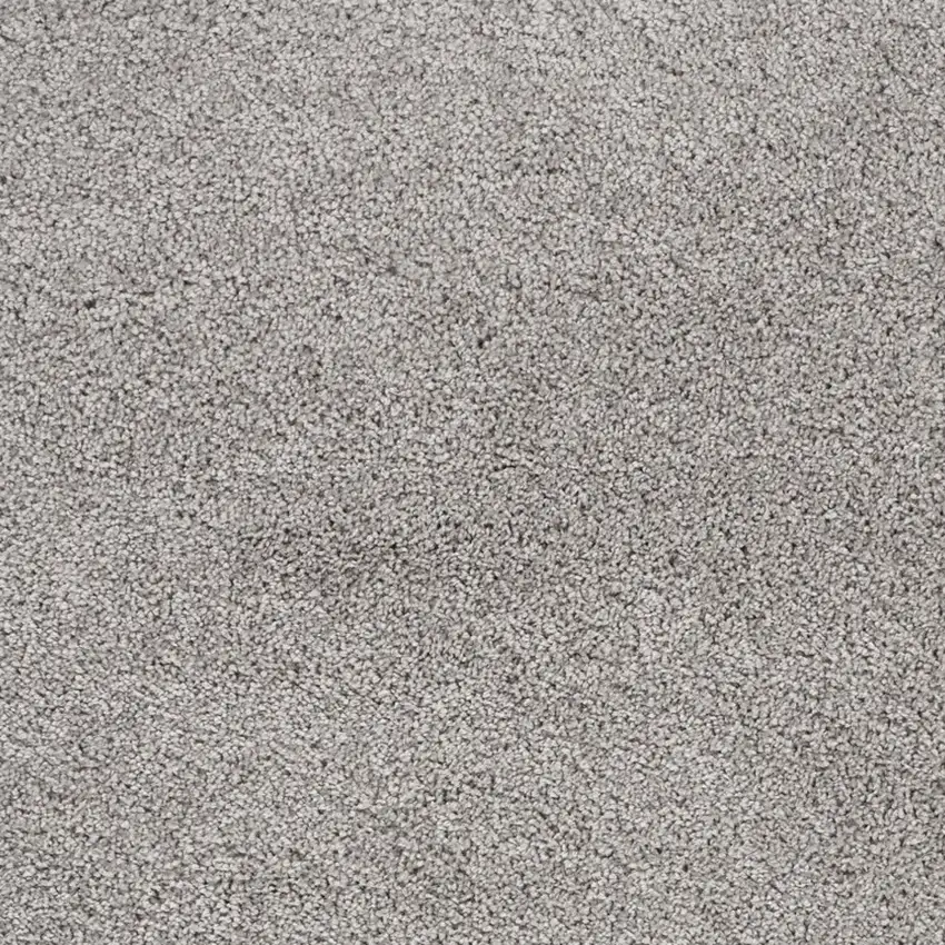 Gray Shag Distressed Area Rug Photo 5