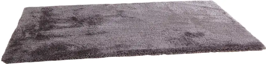 Gray Shag Hand Tufted Area Rug Photo 2
