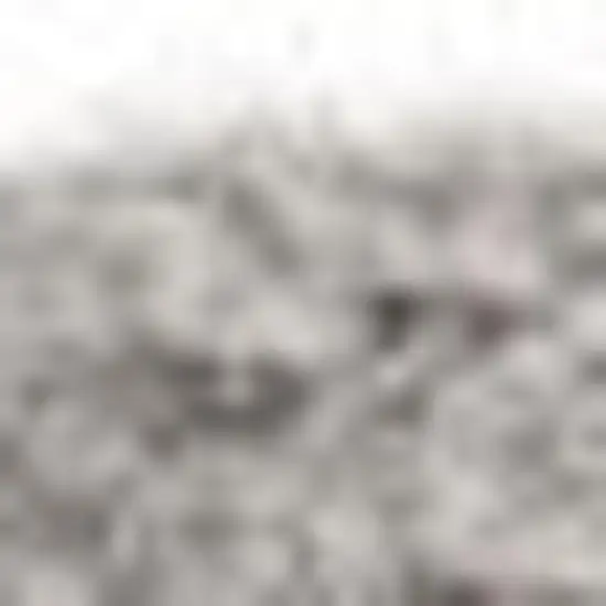 Gray Shag Non Skid Area Rug Photo 5