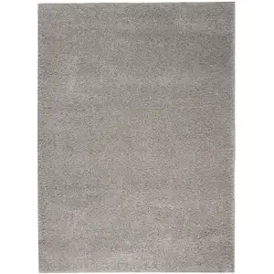 Photo of Gray Shag Non Skid Area Rug