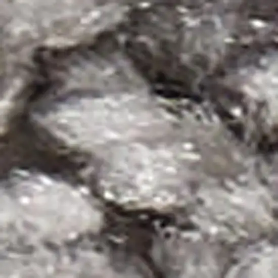 Gray Shag Power Loom Area Rug Photo 3