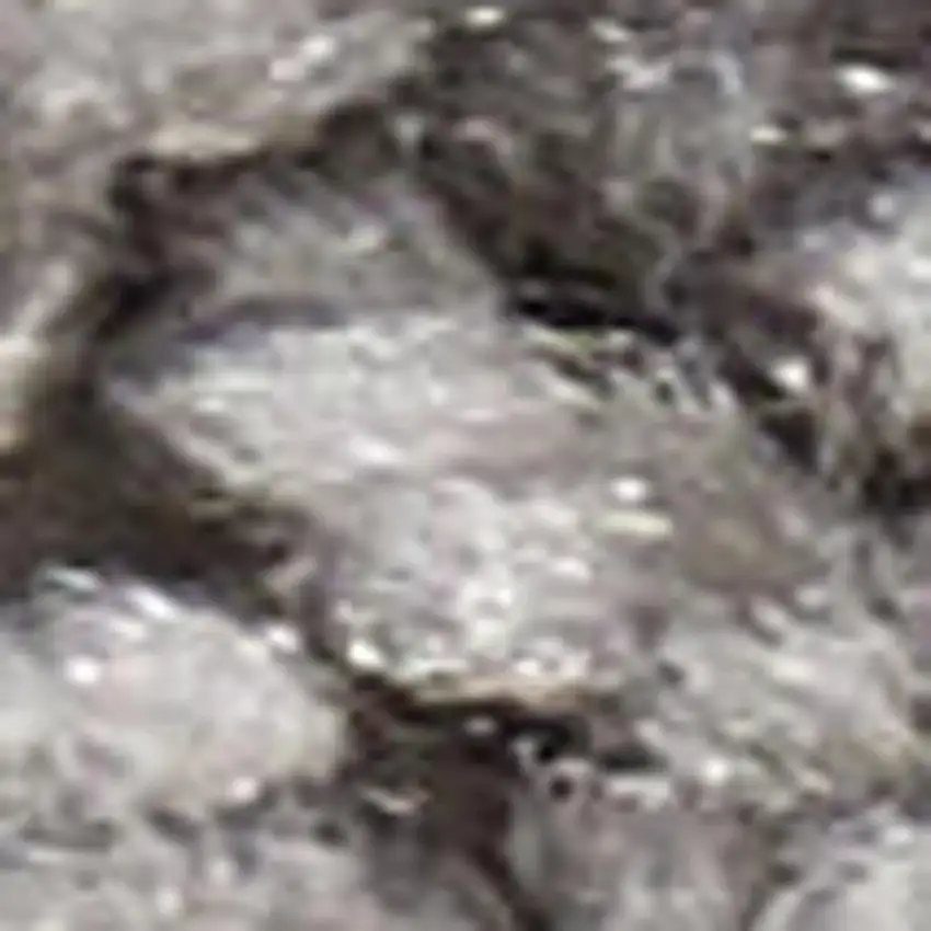 Gray Shag Power Loom Area Rug Photo 3