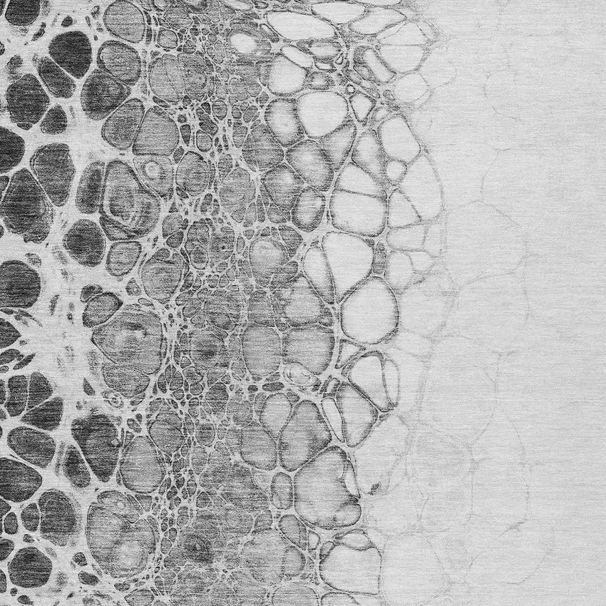 Gray Silver And Charcoal Abstract Washable Indoor Outdoor Area Rug Photo 5