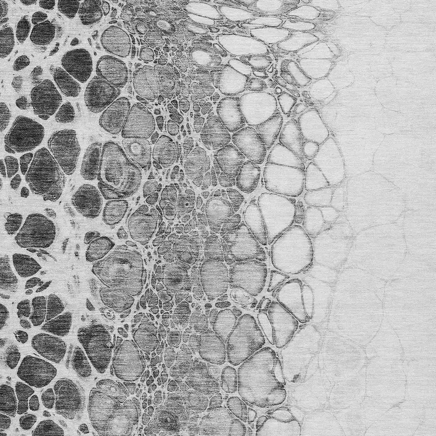 Gray Silver And Charcoal Abstract Washable Indoor Outdoor Area Rug Photo 4