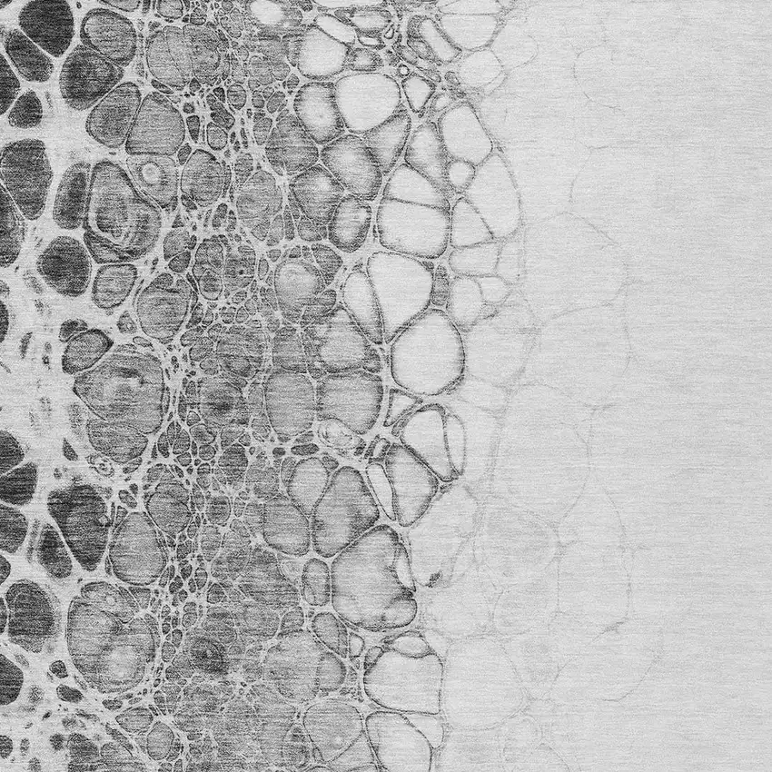 Gray Silver And Charcoal Abstract Washable Indoor Outdoor Area Rug Photo 5