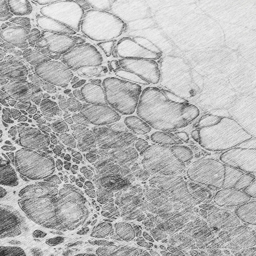 Gray Silver And Charcoal Abstract Washable Indoor Outdoor Area Rug Photo 7