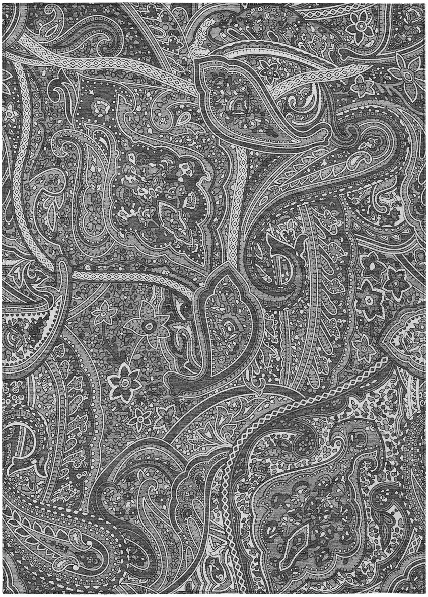 Gray Silver And Charcoal Paisley Washable Indoor Outdoor Area Rug Photo 2
