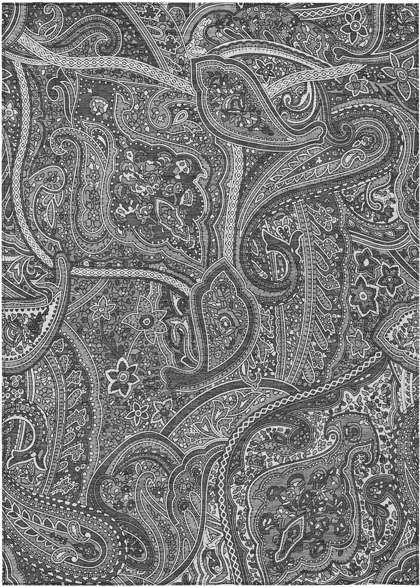 Gray Silver And Charcoal Paisley Washable Indoor Outdoor Area Rug Photo 2