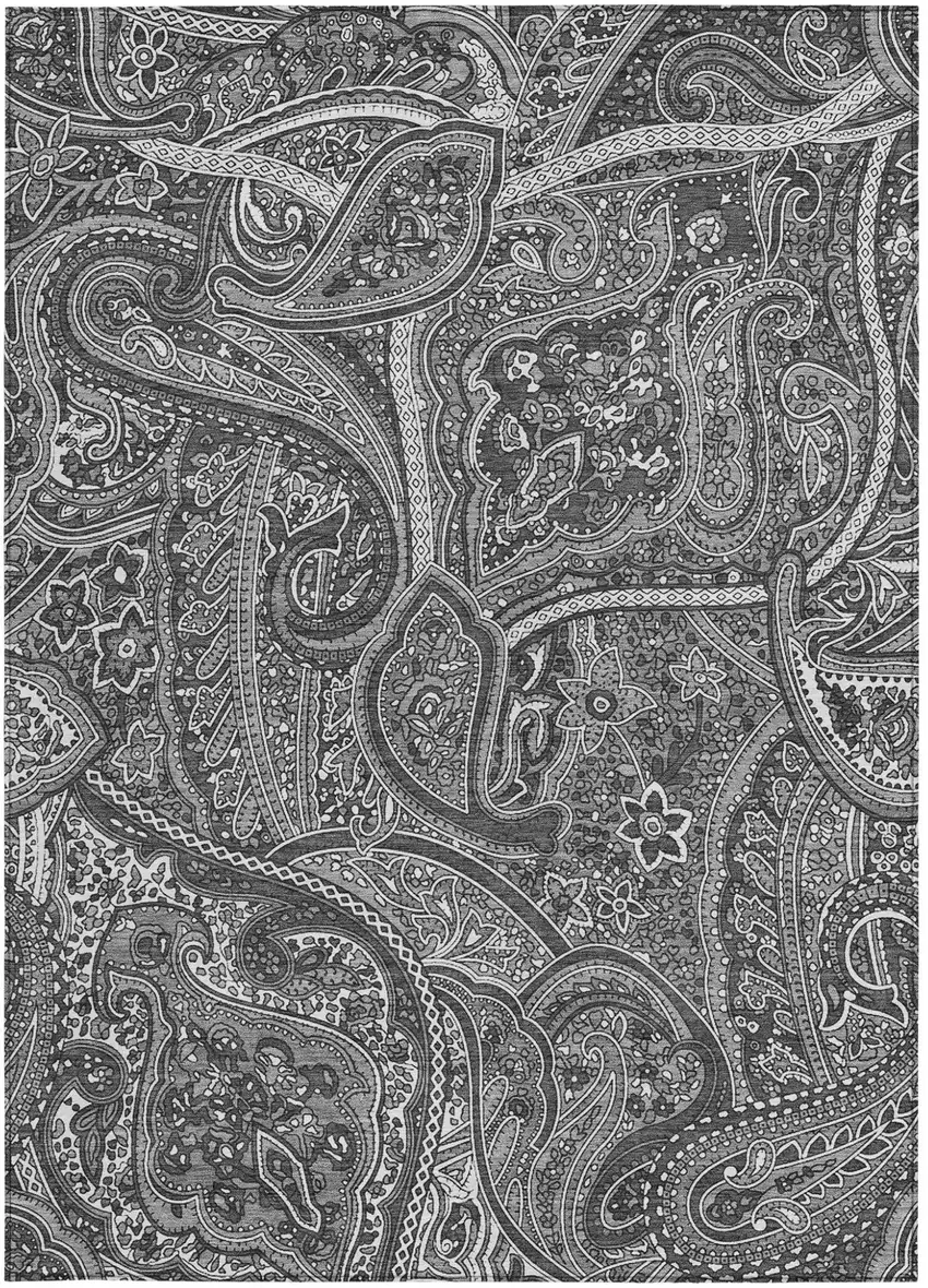 Gray Silver And Charcoal Paisley Washable Indoor Outdoor Area Rug Photo 7