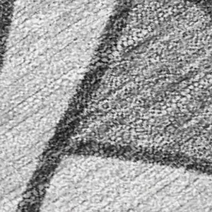 Photo of Gray Silver And Charcoal Seashell Washable Indoor Outdoor Area Rug