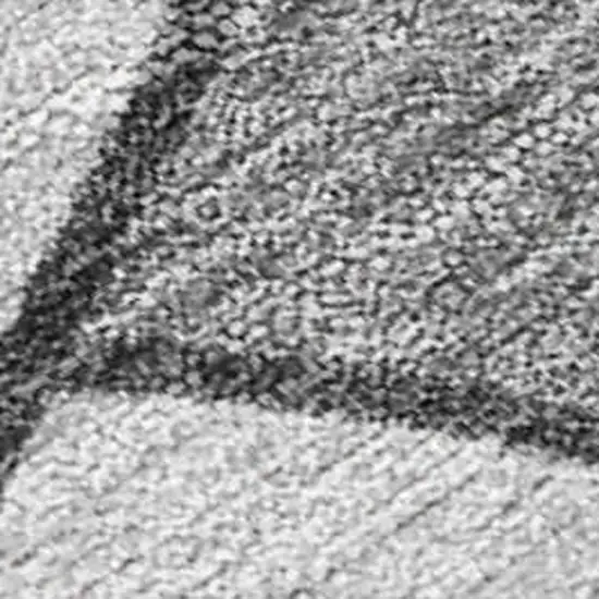 Gray Silver And Charcoal Seashell Washable Indoor Outdoor Area Rug Photo 2