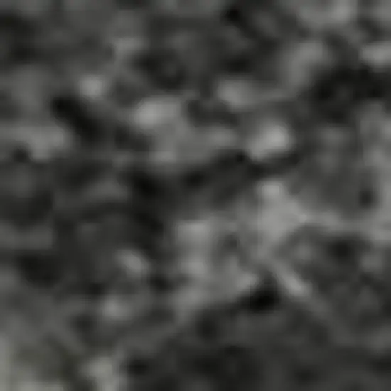 Gray Silver And Ivory Animal Print Washable Area Rug With UV Protection Photo 1