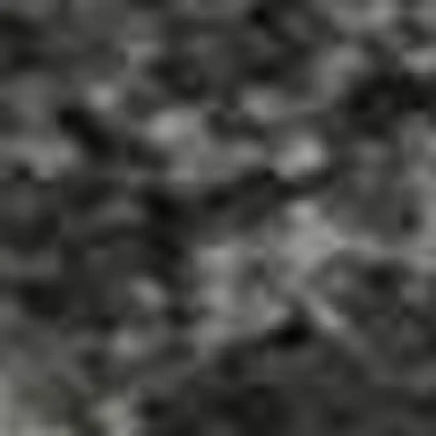 Gray Silver And Ivory Animal Print Washable Area Rug With UV Protection Photo 1