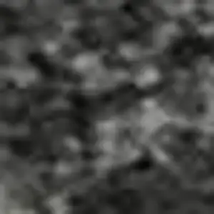 Photo of Gray Silver And Ivory Animal Print Washable Area Rug With UV Protection