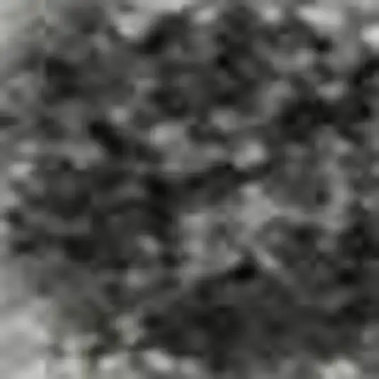 Gray Silver And Ivory Animal Print Washable Area Rug With UV Protection Photo 3