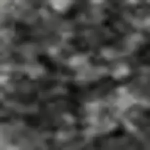 Photo of Gray Silver And Ivory Animal Print Washable Area Rug With UV Protection