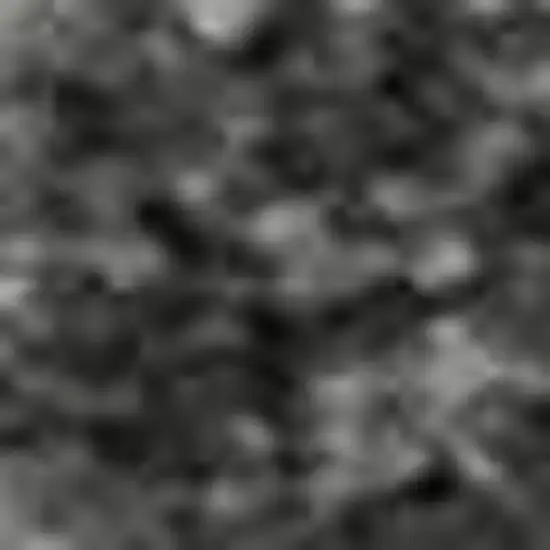 Gray Silver And Ivory Animal Print Washable Area Rug With UV Protection Photo 1