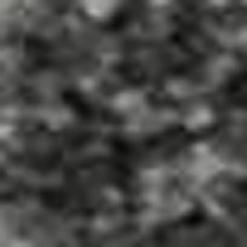 Gray Silver And Ivory Animal Print Washable Area Rug With UV Protection Photo 1