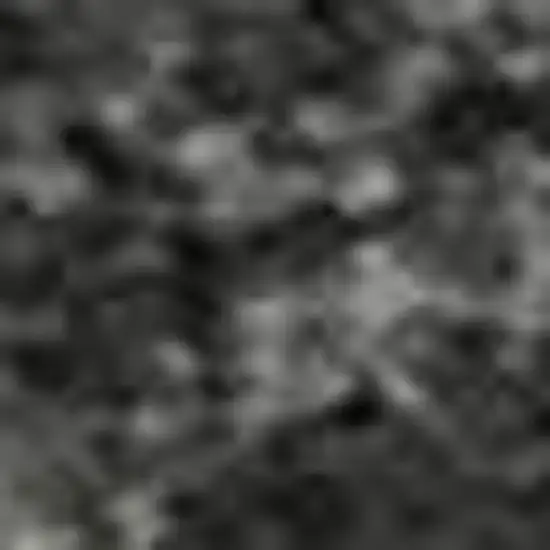 Gray Silver And Ivory Animal Print Washable Area Rug With UV Protection Photo 1