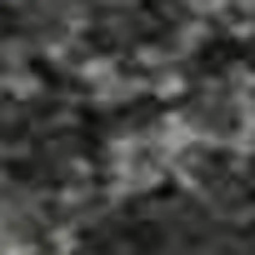 Gray Silver And Ivory Animal Print Washable Area Rug With UV Protection Photo 1