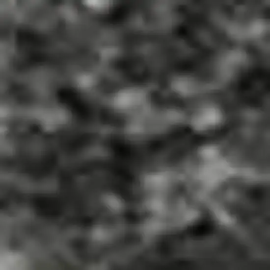 Gray Silver And Ivory Animal Print Washable Area Rug With UV Protection Photo 1