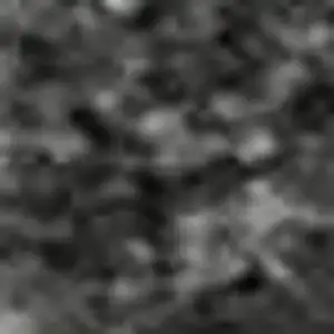 Photo of Gray Silver And Ivory Animal Print Washable Area Rug With UV Protection