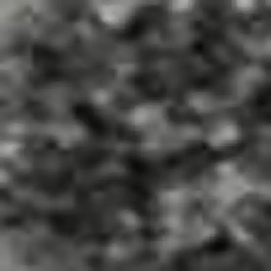 Gray Silver And Ivory Animal Print Washable Area Rug With UV Protection Photo 1