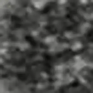 Photo of Gray Silver And Ivory Animal Print Washable Area Rug With UV Protection