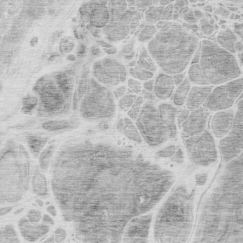 Gray Silver And Ivory Nautical Washable Indoor Outdoor Area Rug Photo 6