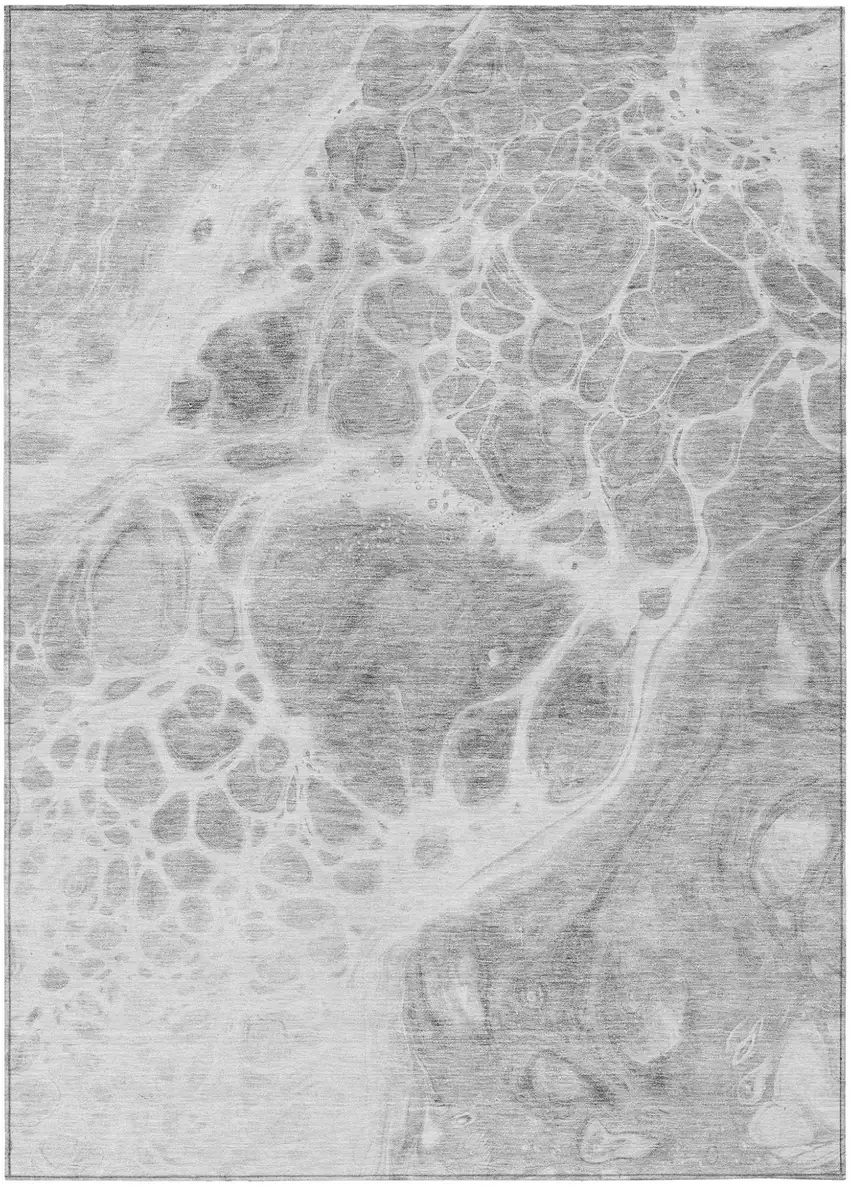 Gray Silver And Ivory Nautical Washable Indoor Outdoor Area Rug Photo 2