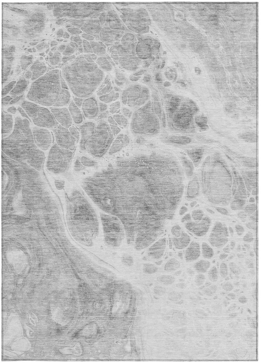 Gray Silver And Ivory Nautical Washable Indoor Outdoor Area Rug Photo 7