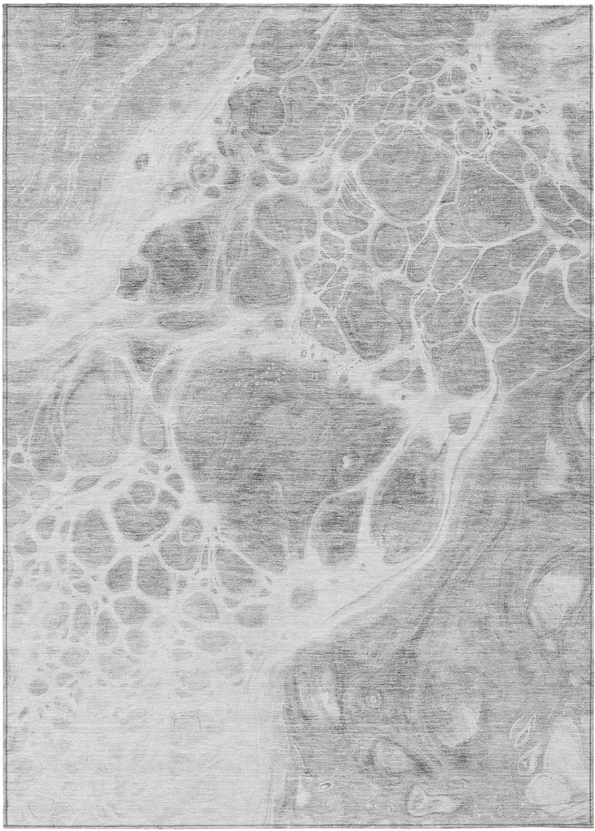 Gray Silver And Ivory Nautical Washable Indoor Outdoor Area Rug Photo 2