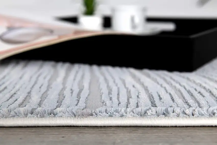 Gray Striped Power Loom Distressed Area Rug Photo 6