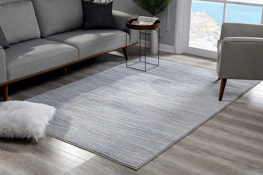 Gray Striped Power Loom Distressed Area Rug Photo 3